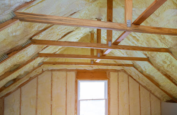 Best Geographic-Specific Insulation Services in Machesney Park, IL