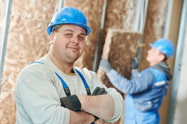 Best Insulation Maintenance and Repair in Machesney Park, IL